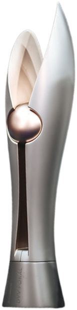 DVV-Pokal